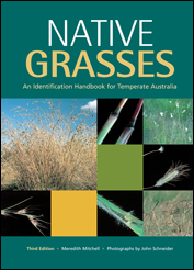 Native Grasses Native Grasses