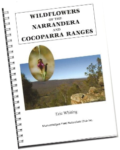 Field Guide Field Guide